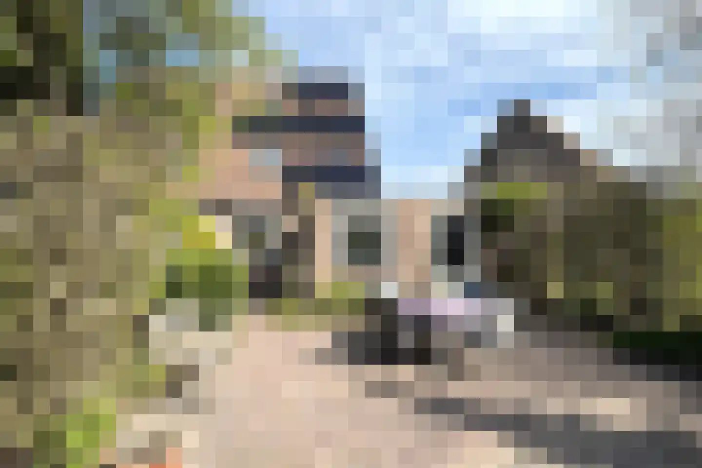 Leeuwerikstraat 24 Fijnaart thumbnail 62