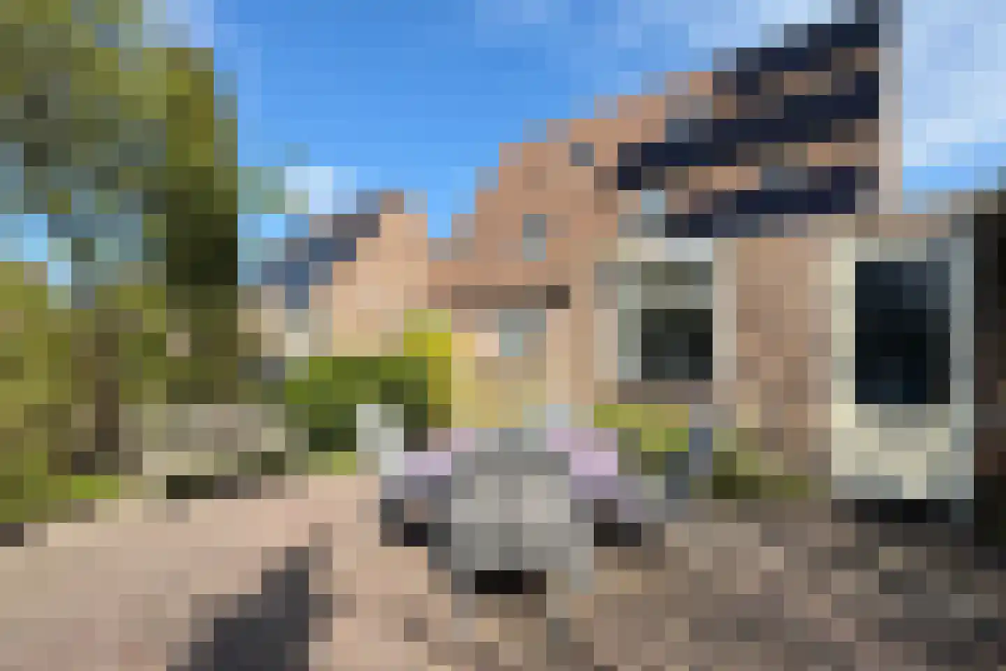 Leeuwerikstraat 24 Fijnaart thumbnail 64