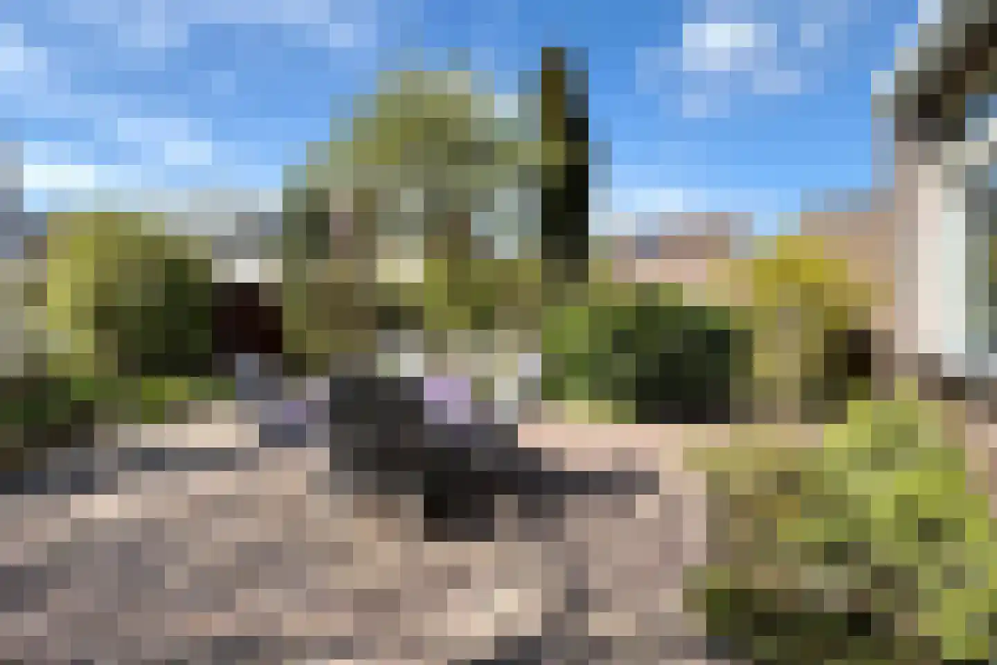 Leeuwerikstraat 24 Fijnaart thumbnail 65
