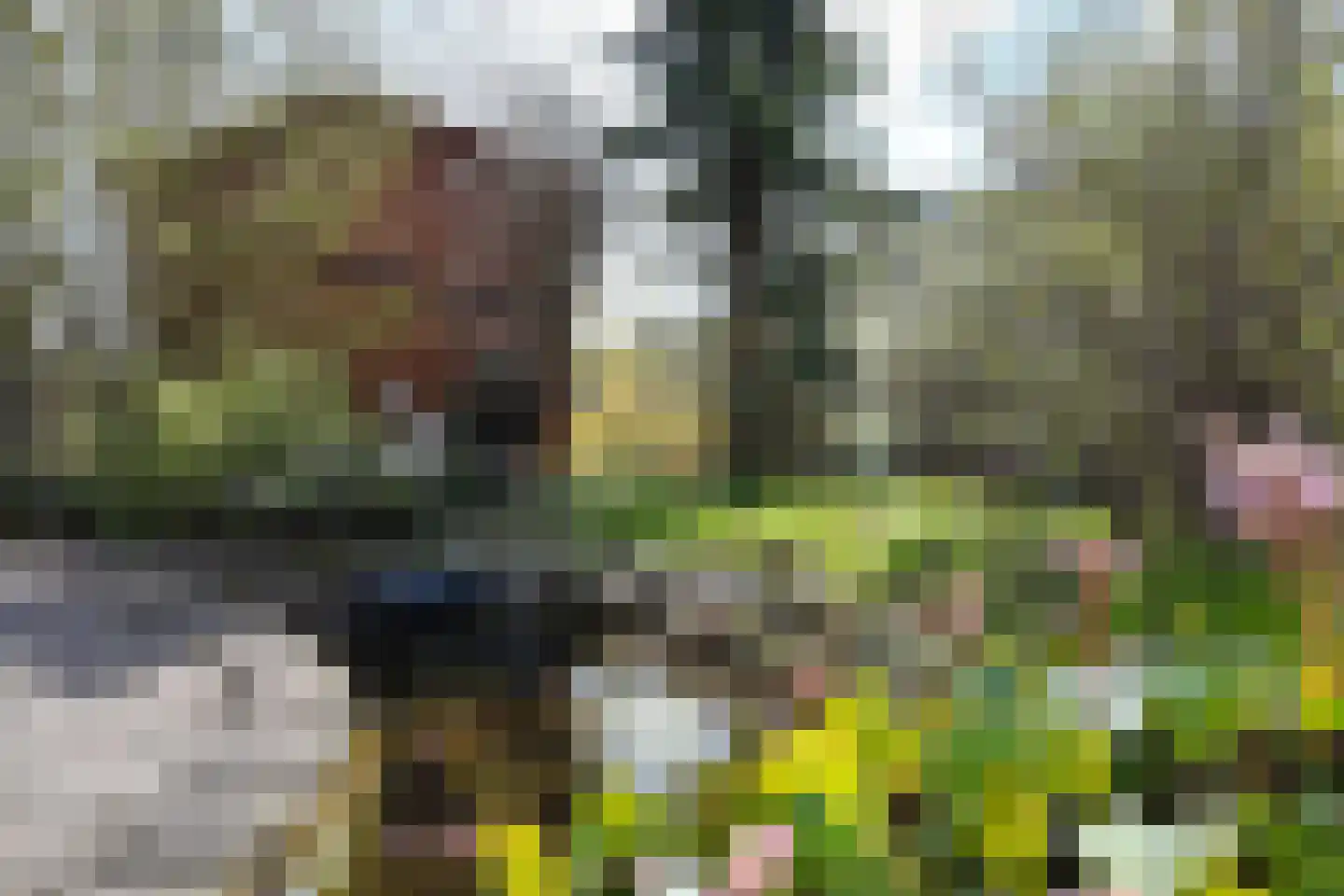 Leeuwerikstraat 24 Fijnaart thumbnail 66