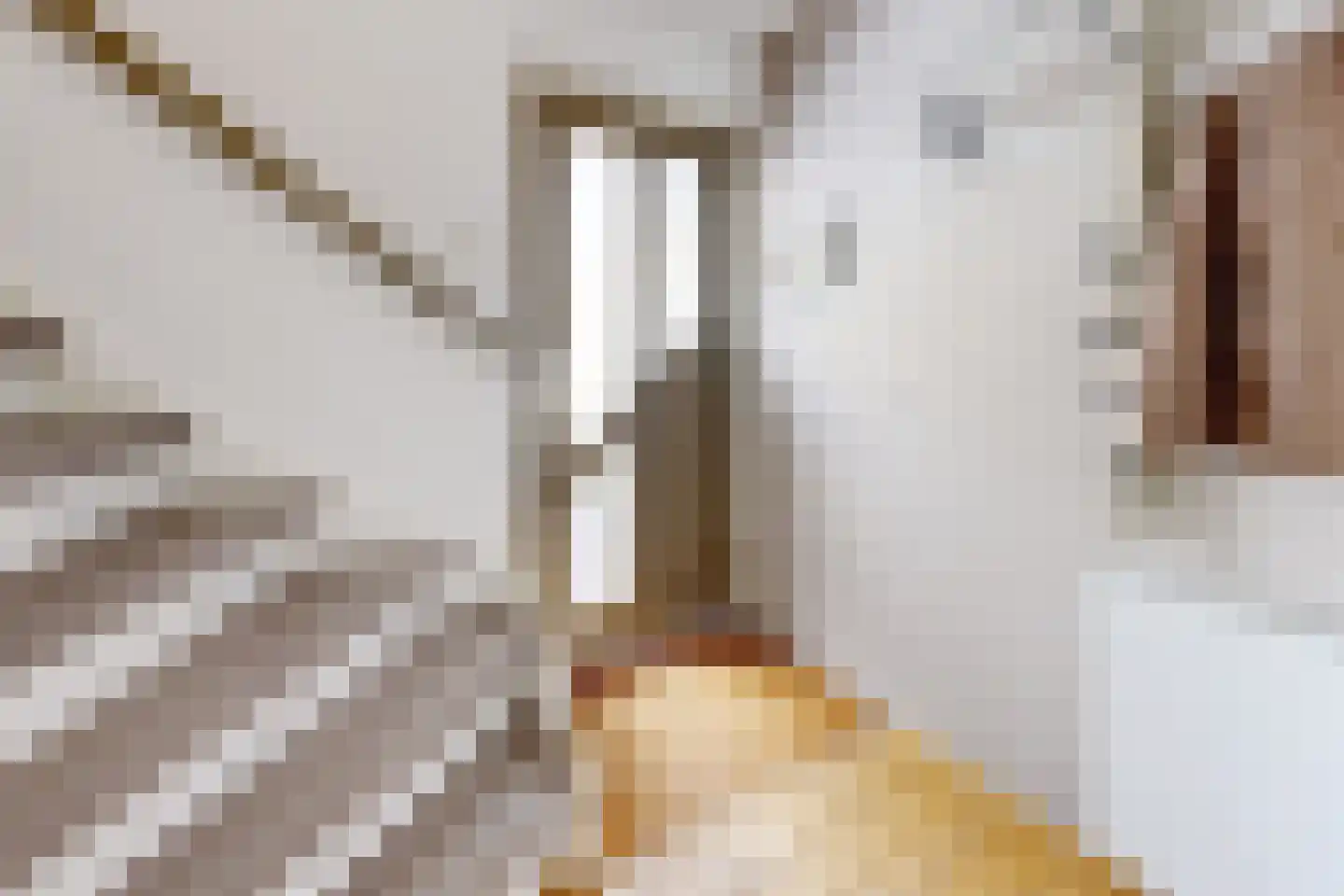 Leeuwerikstraat 24 Fijnaart thumbnail 7