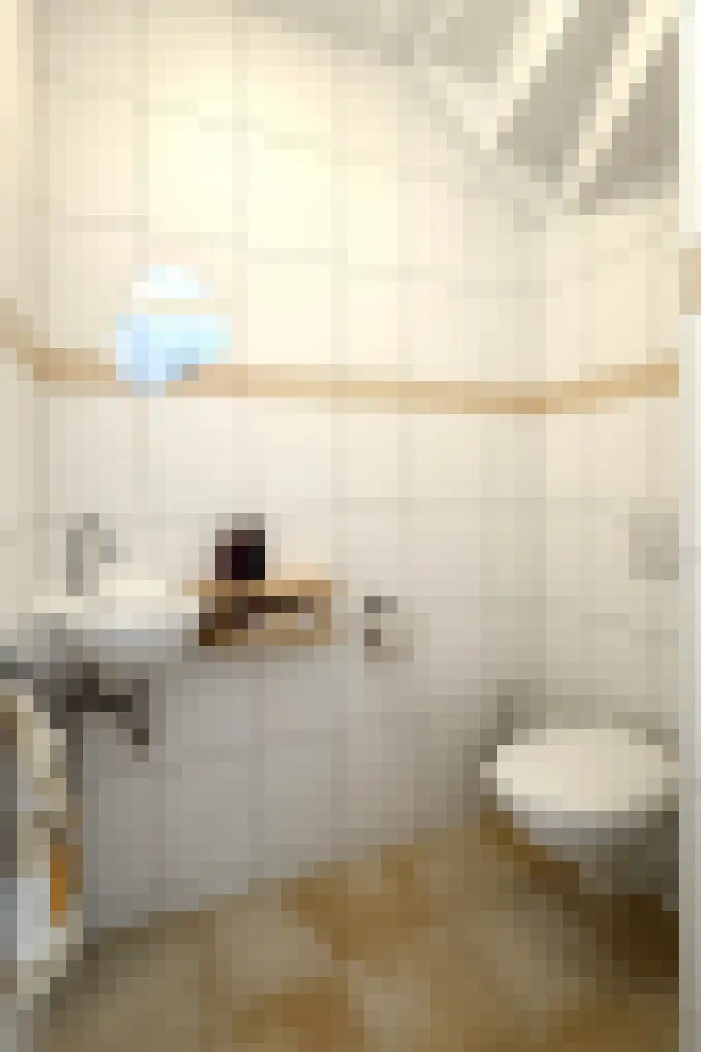 Leeuwerikstraat 24 Fijnaart thumbnail 8