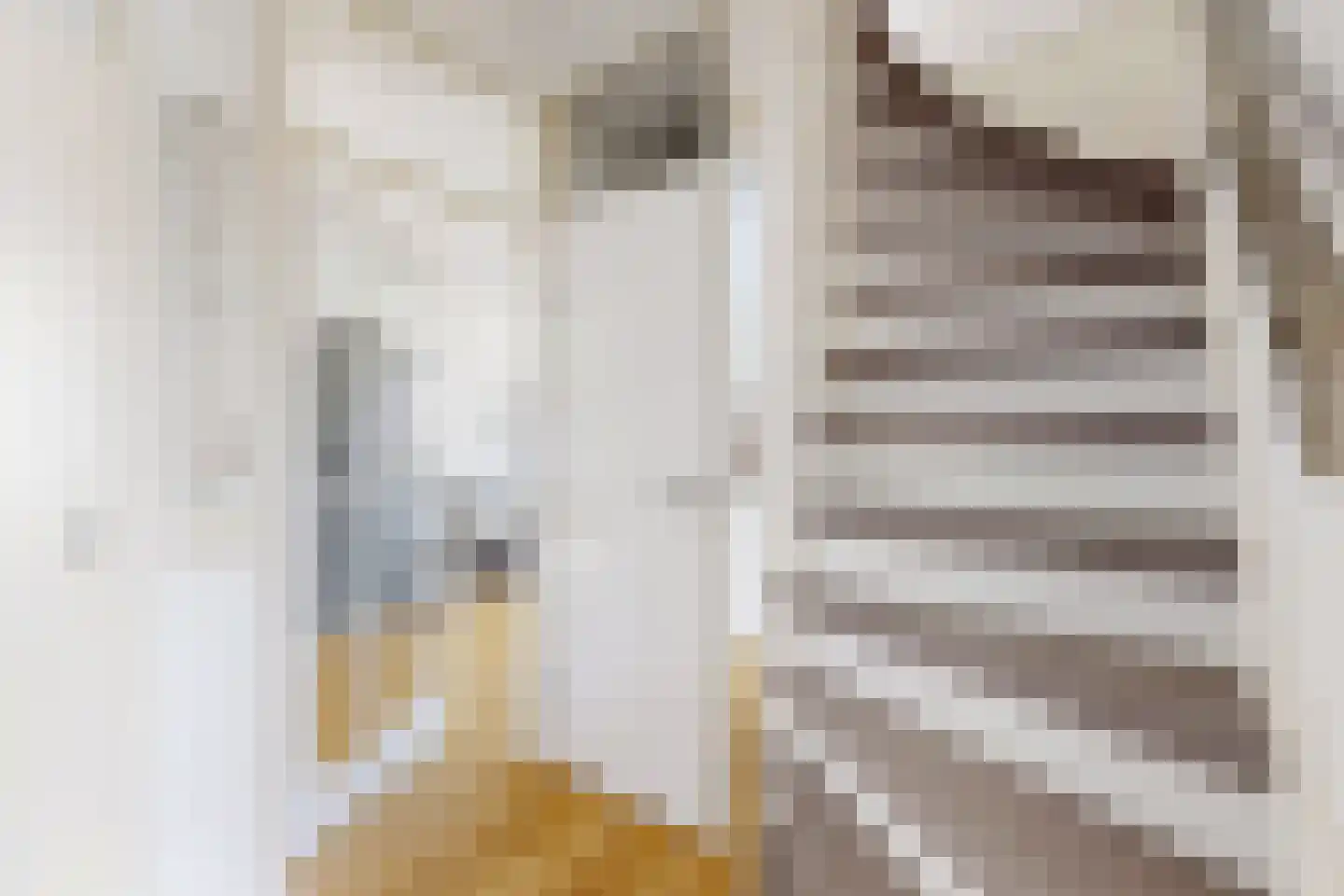 Leeuwerikstraat 24 Fijnaart thumbnail 9