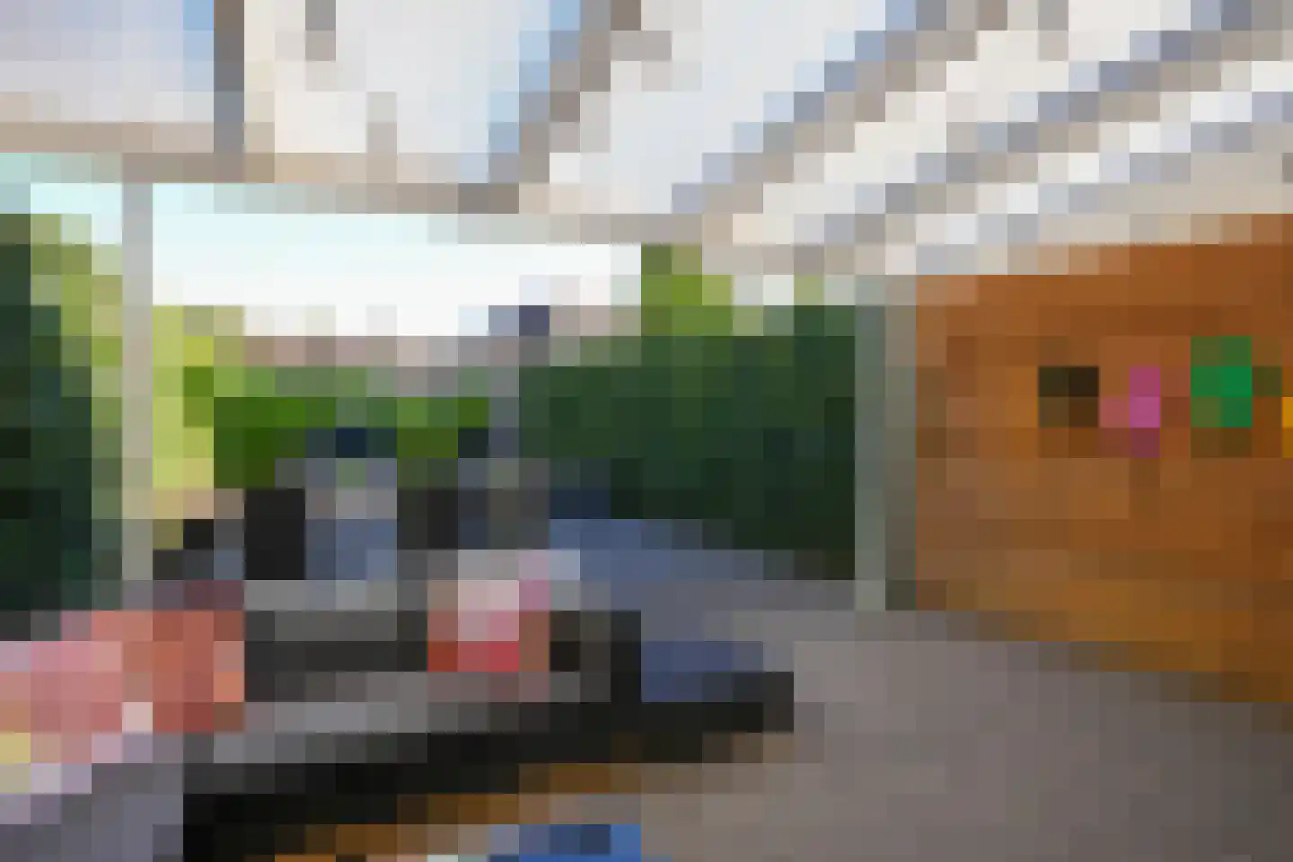 Leeuwerikstraat 24 Geleen thumbnail 22