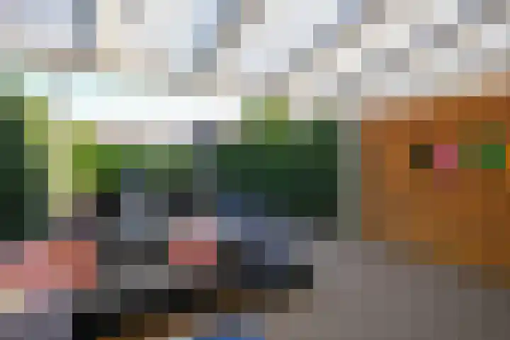 Leeuwerikstraat 24 Geleen thumbnail 22
