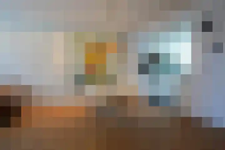Leeuwerikstraat 24 Geleen thumbnail 5
