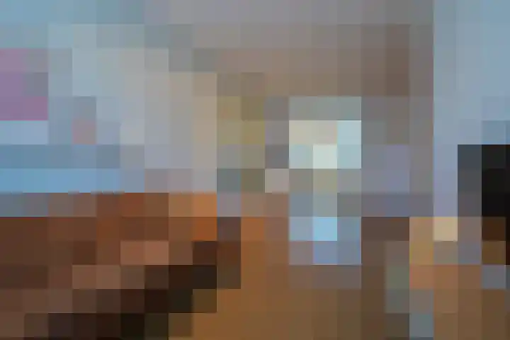 Leeuwerikstraat 24 Geleen thumbnail 7