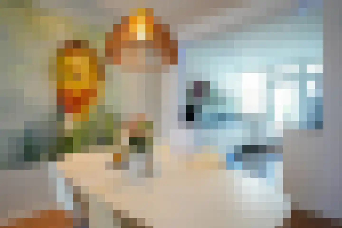 Leeuwerikstraat 24 Geleen thumbnail 8