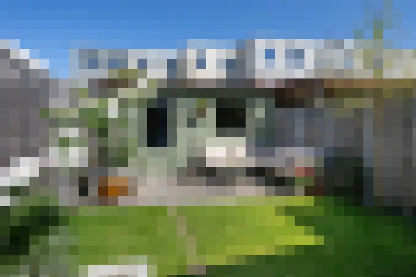 Leeuwerikstraat 25 Haarlem thumbnail 11