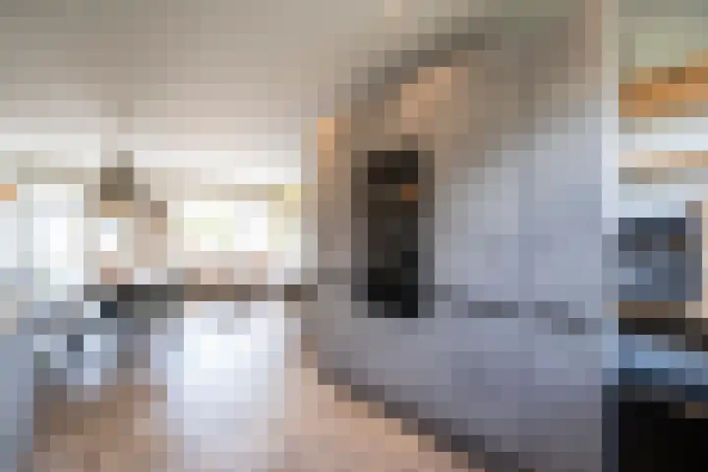 Leeuwerikstraat 26 Groot-Ammers thumbnail 12
