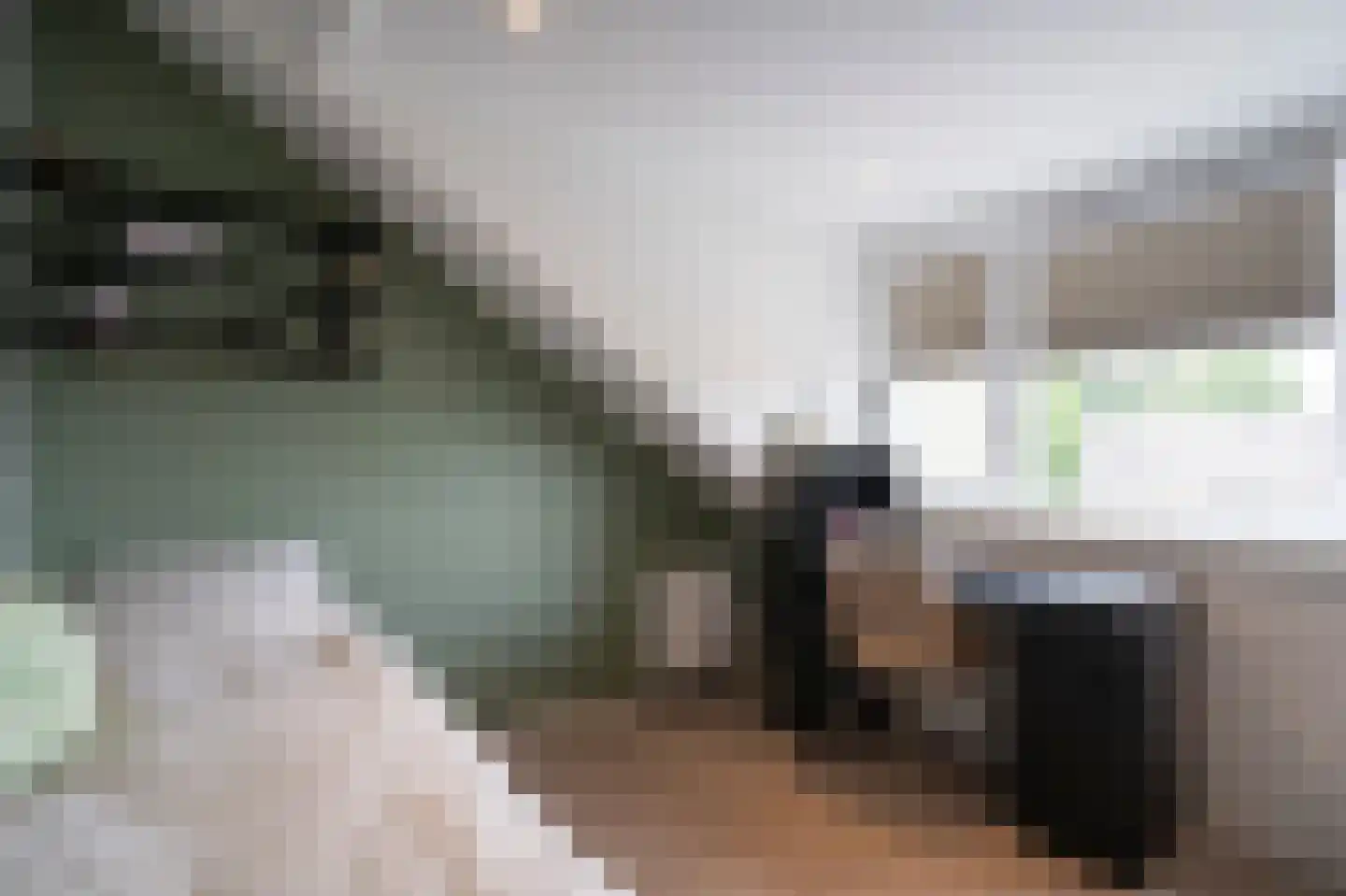 Leeuwerikstraat 26 Groot-Ammers thumbnail 24