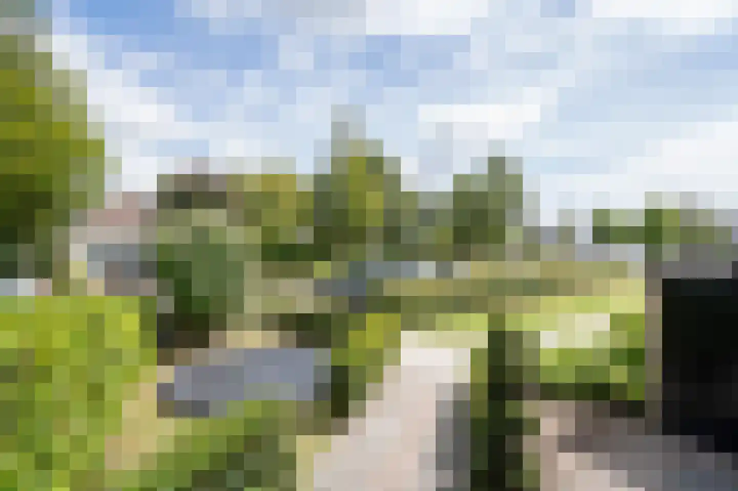 Leeuwerikstraat 26 Groot-Ammers thumbnail 34