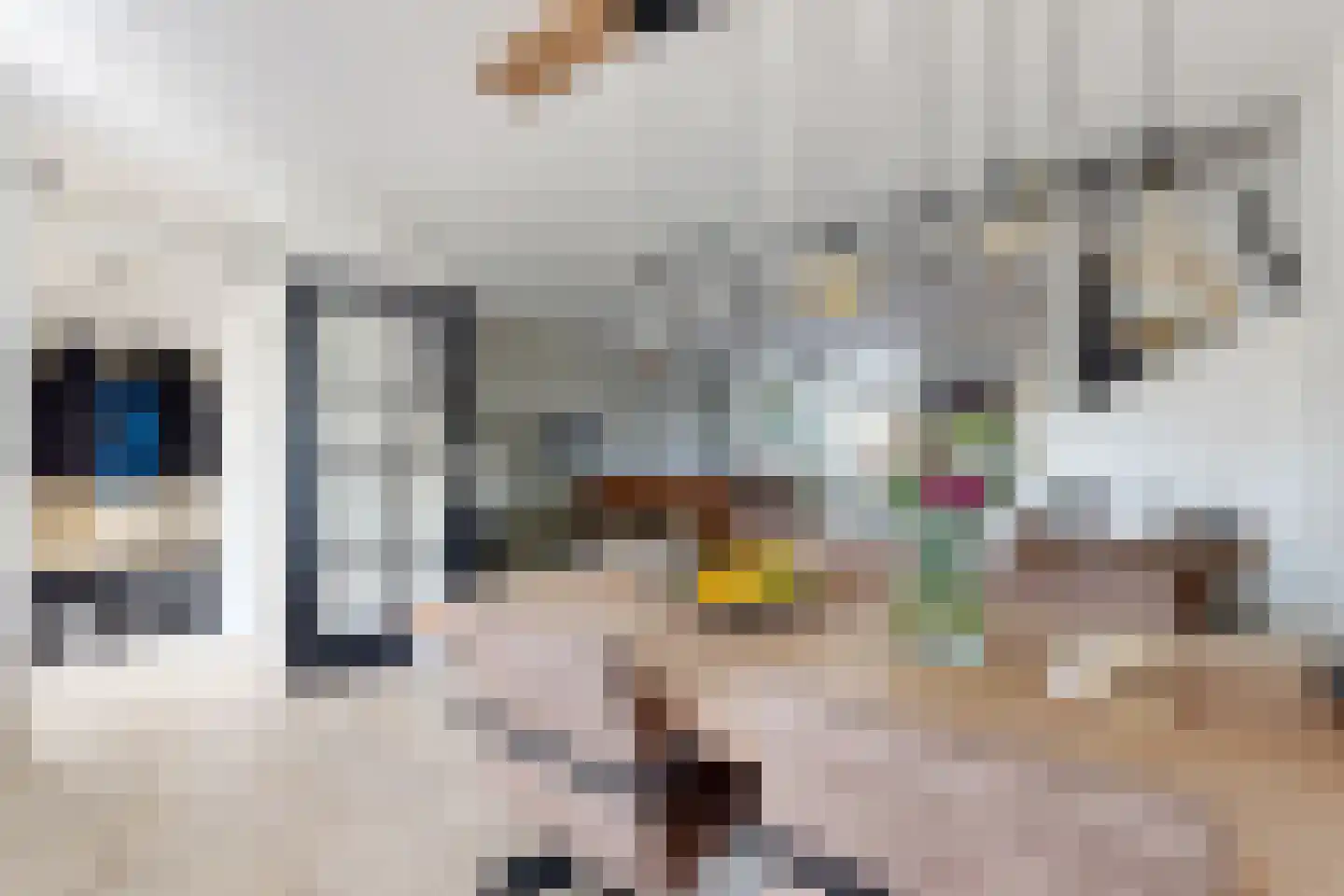 Leeuwerikstraat 27 Fijnaart thumbnail 10