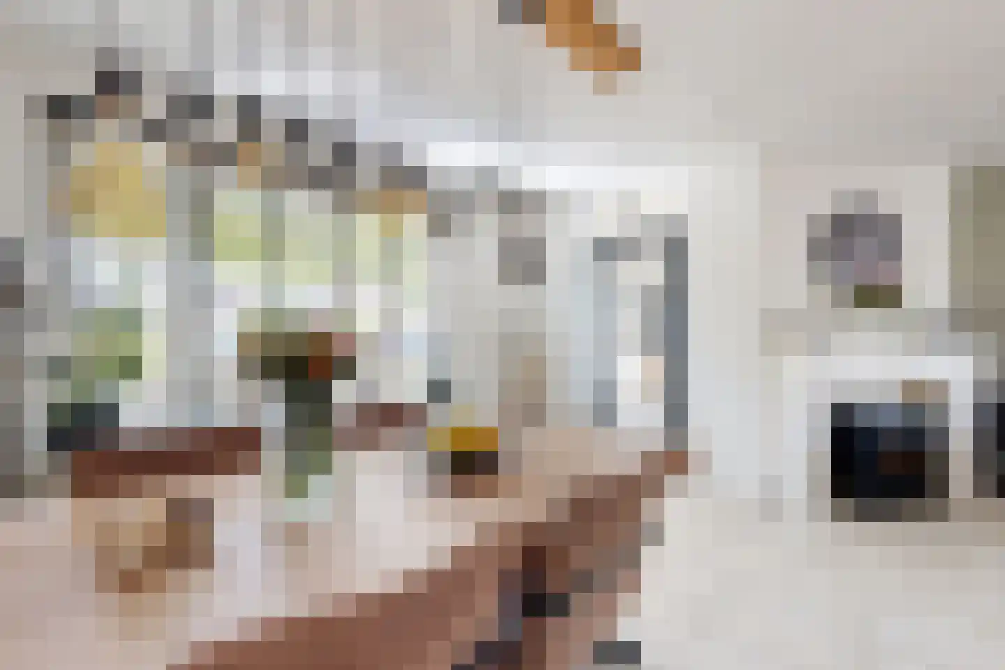 Leeuwerikstraat 27 Fijnaart thumbnail 11