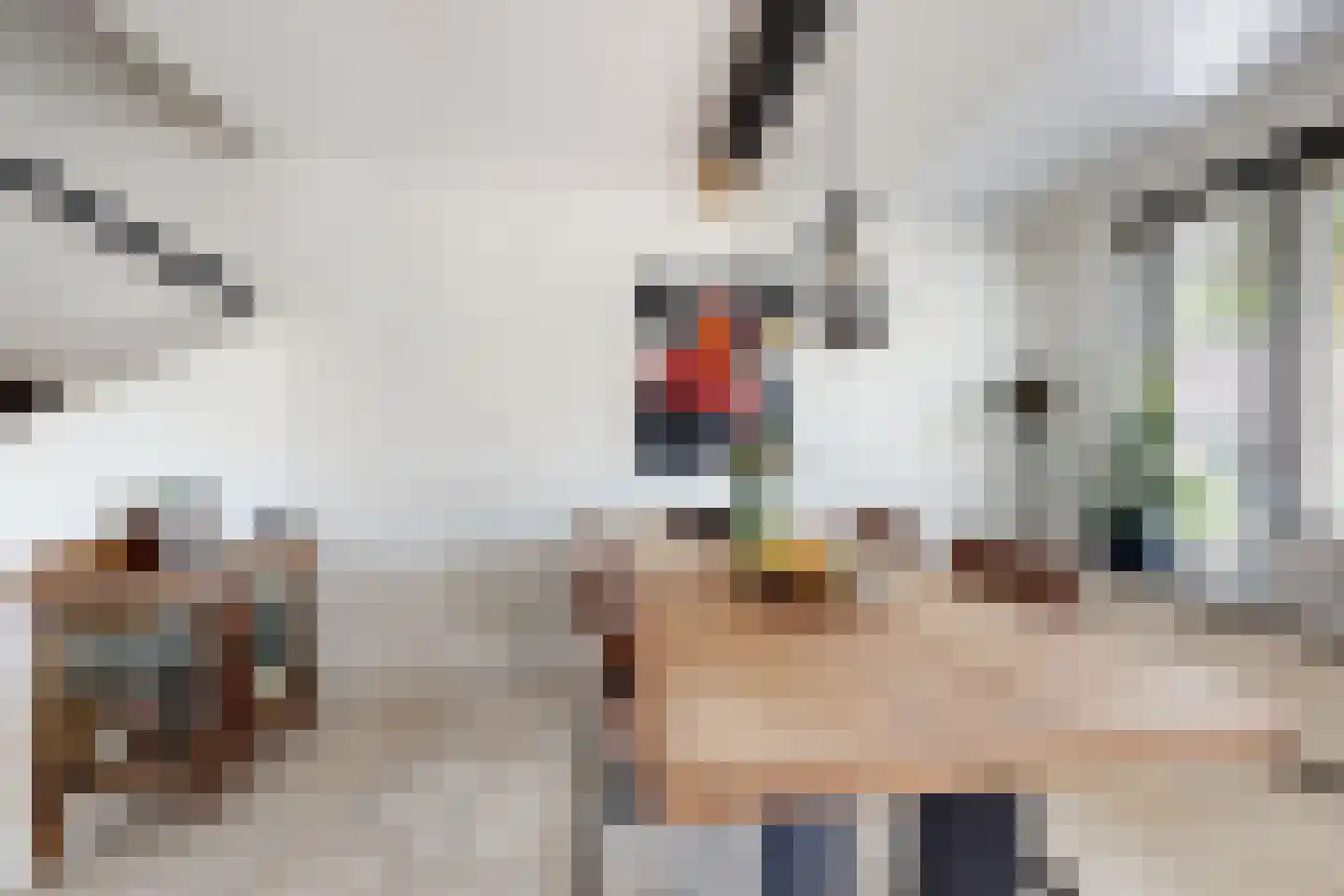 Leeuwerikstraat 27 Fijnaart thumbnail 12