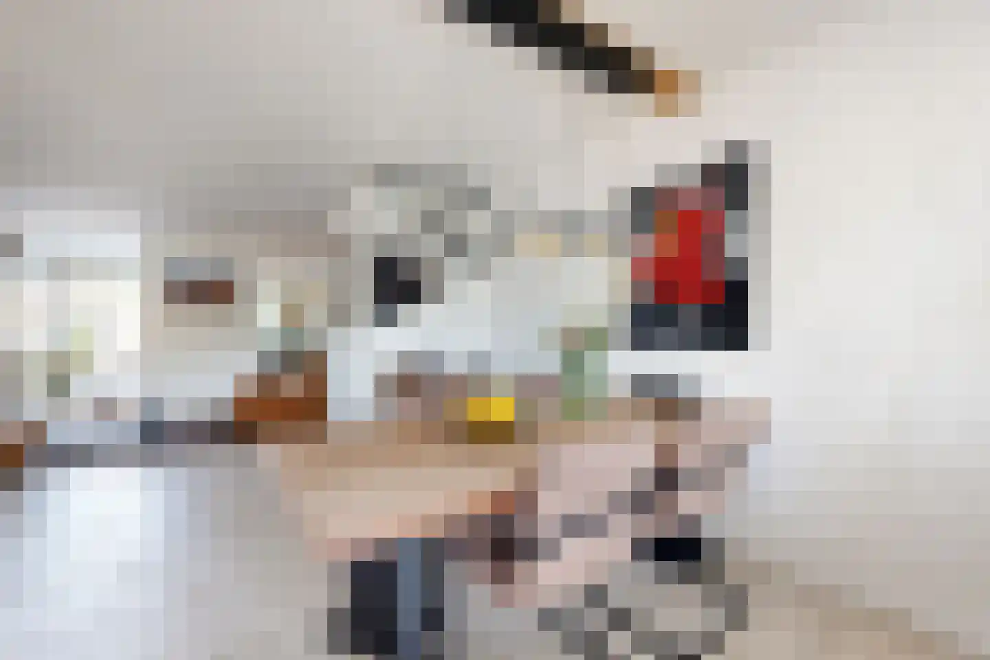 Leeuwerikstraat 27 Fijnaart thumbnail 14