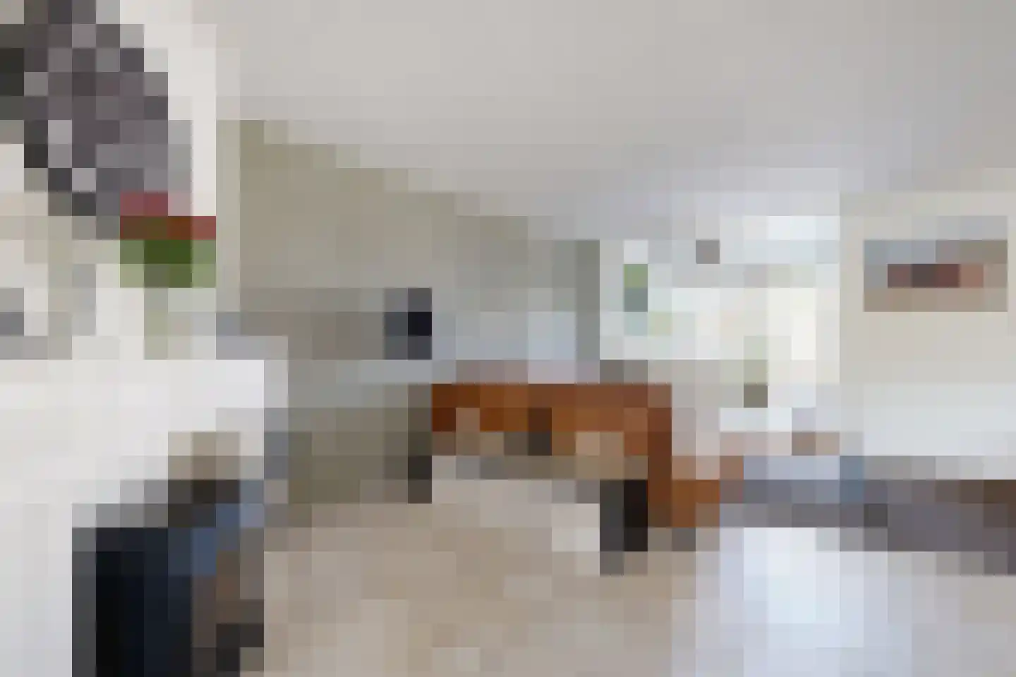 Leeuwerikstraat 27 Fijnaart thumbnail 15