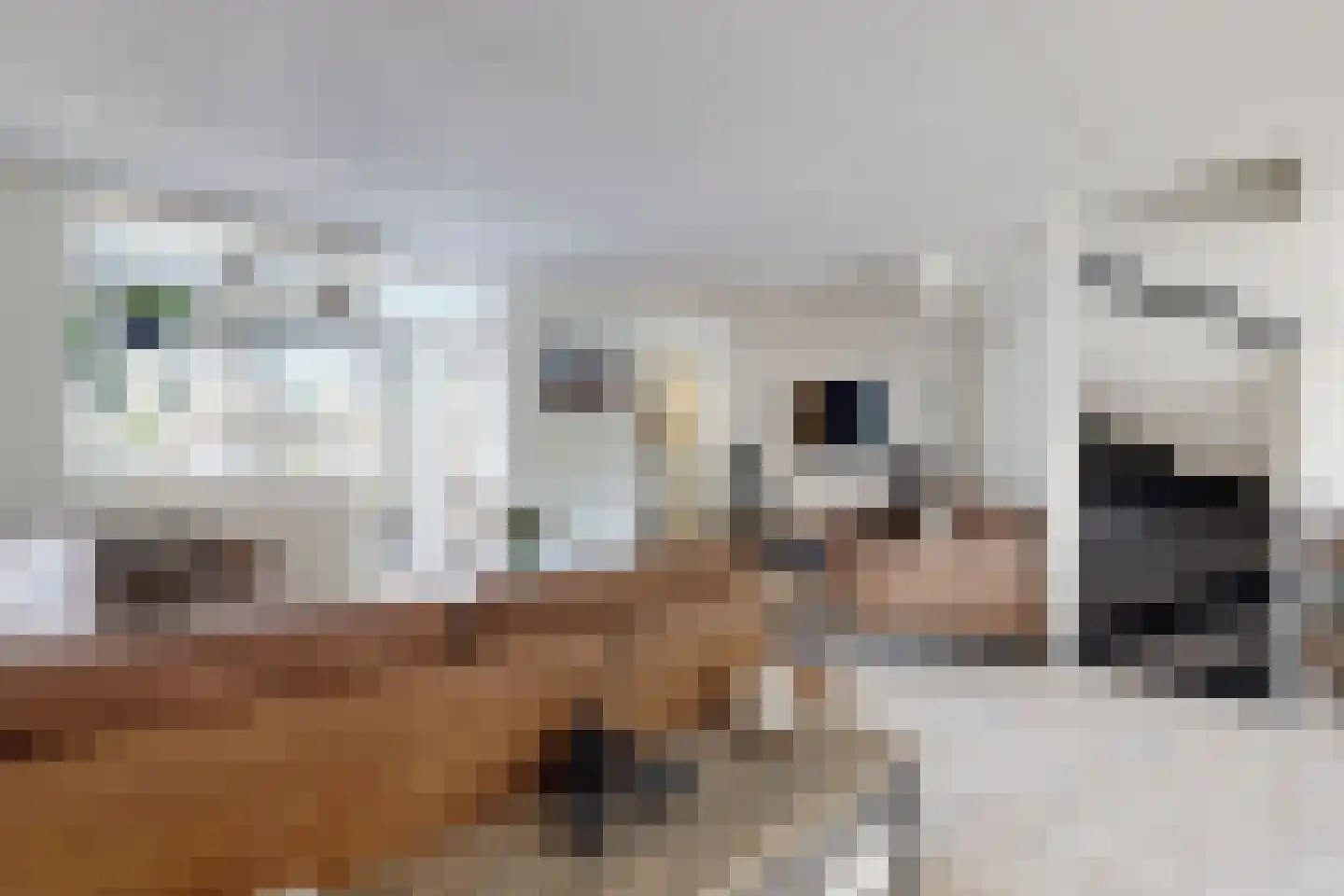 Leeuwerikstraat 27 Fijnaart thumbnail 17