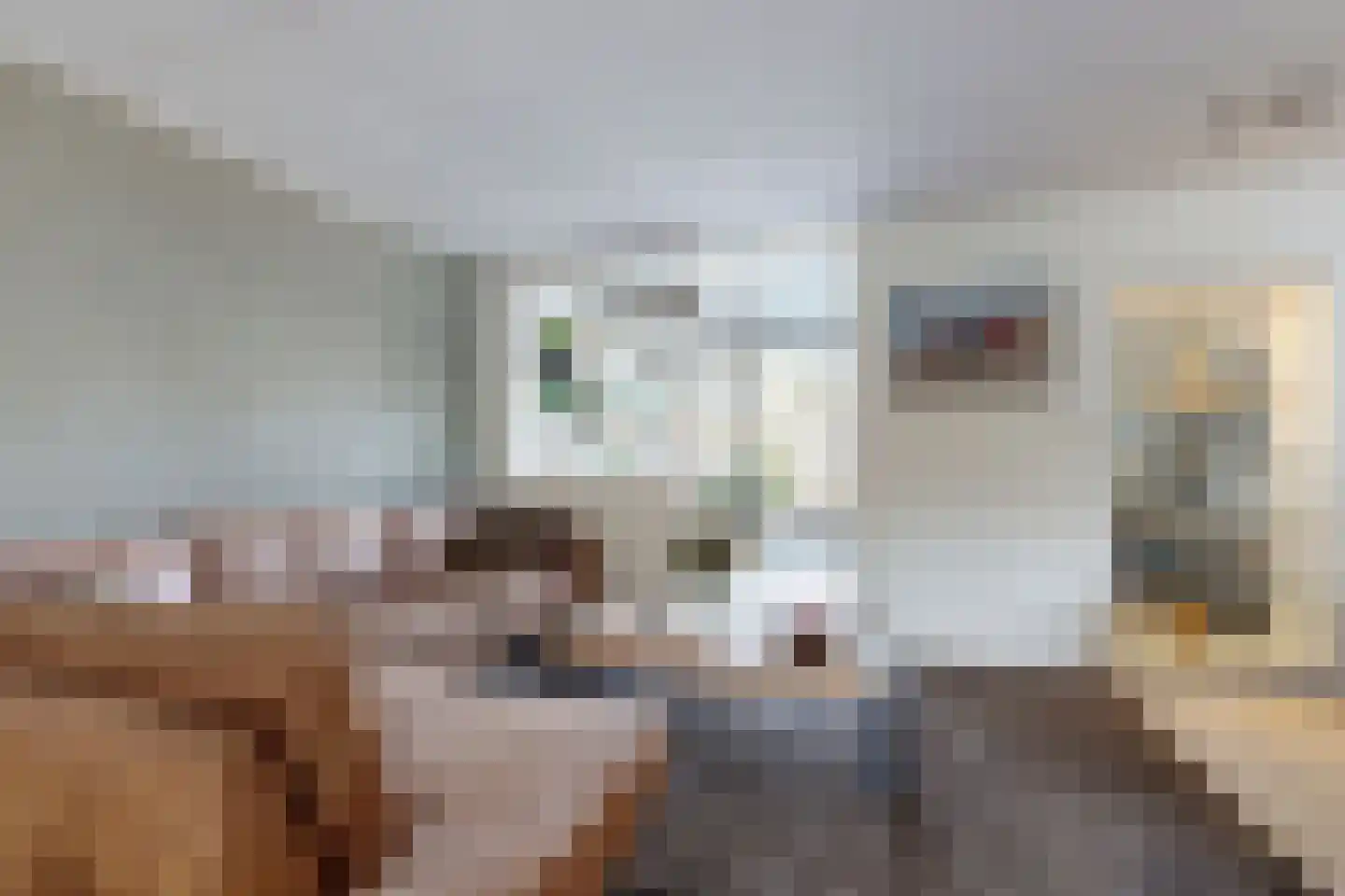 Leeuwerikstraat 27 Fijnaart thumbnail 18