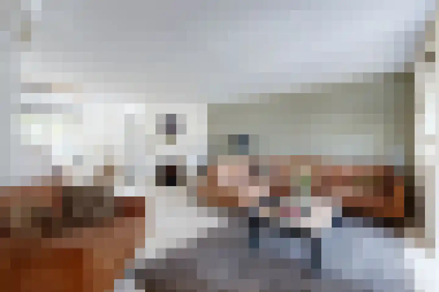 Leeuwerikstraat 27 Fijnaart thumbnail 19