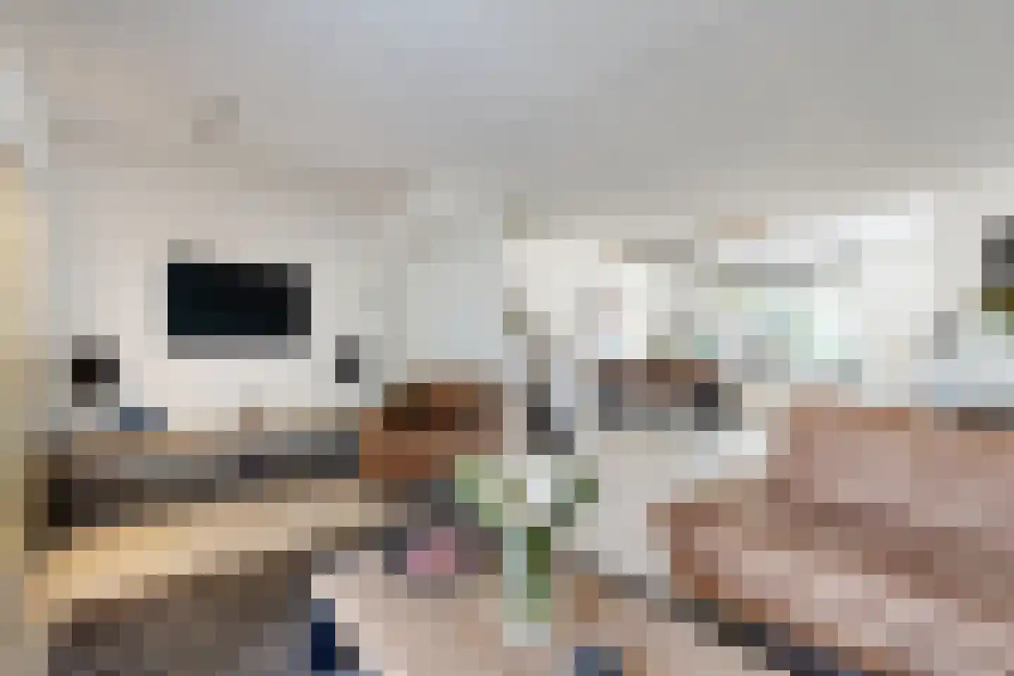 Leeuwerikstraat 27 Fijnaart thumbnail 21