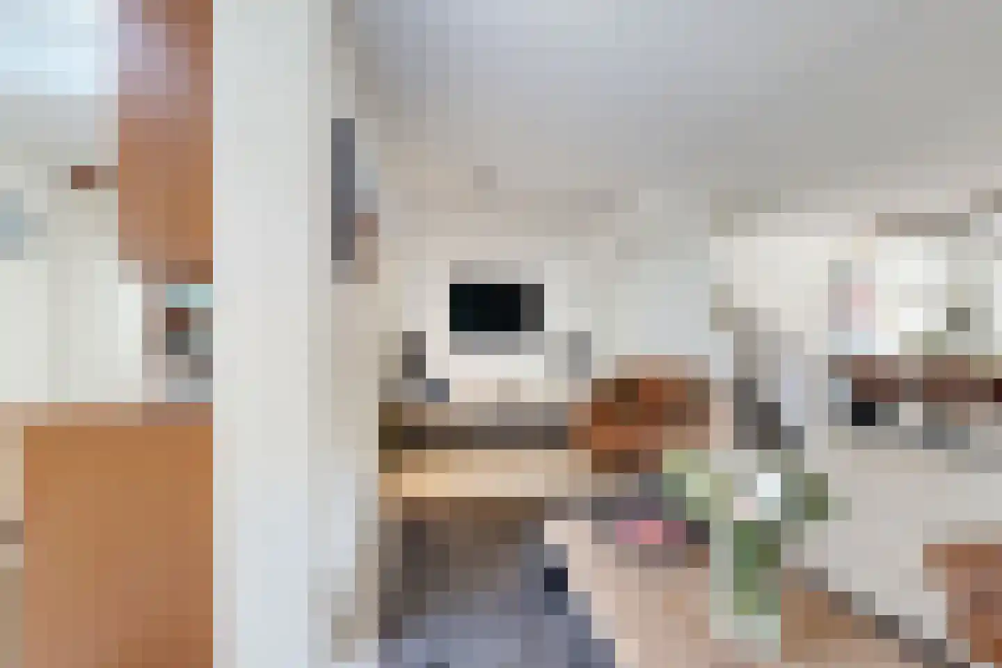 Leeuwerikstraat 27 Fijnaart thumbnail 23