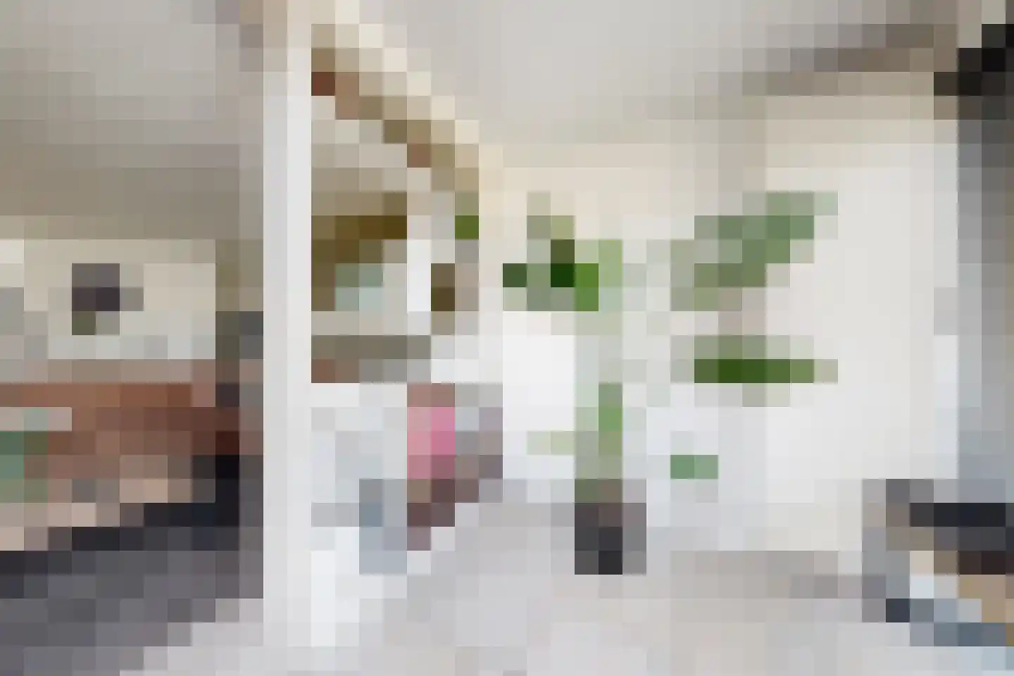 Leeuwerikstraat 27 Fijnaart thumbnail 24