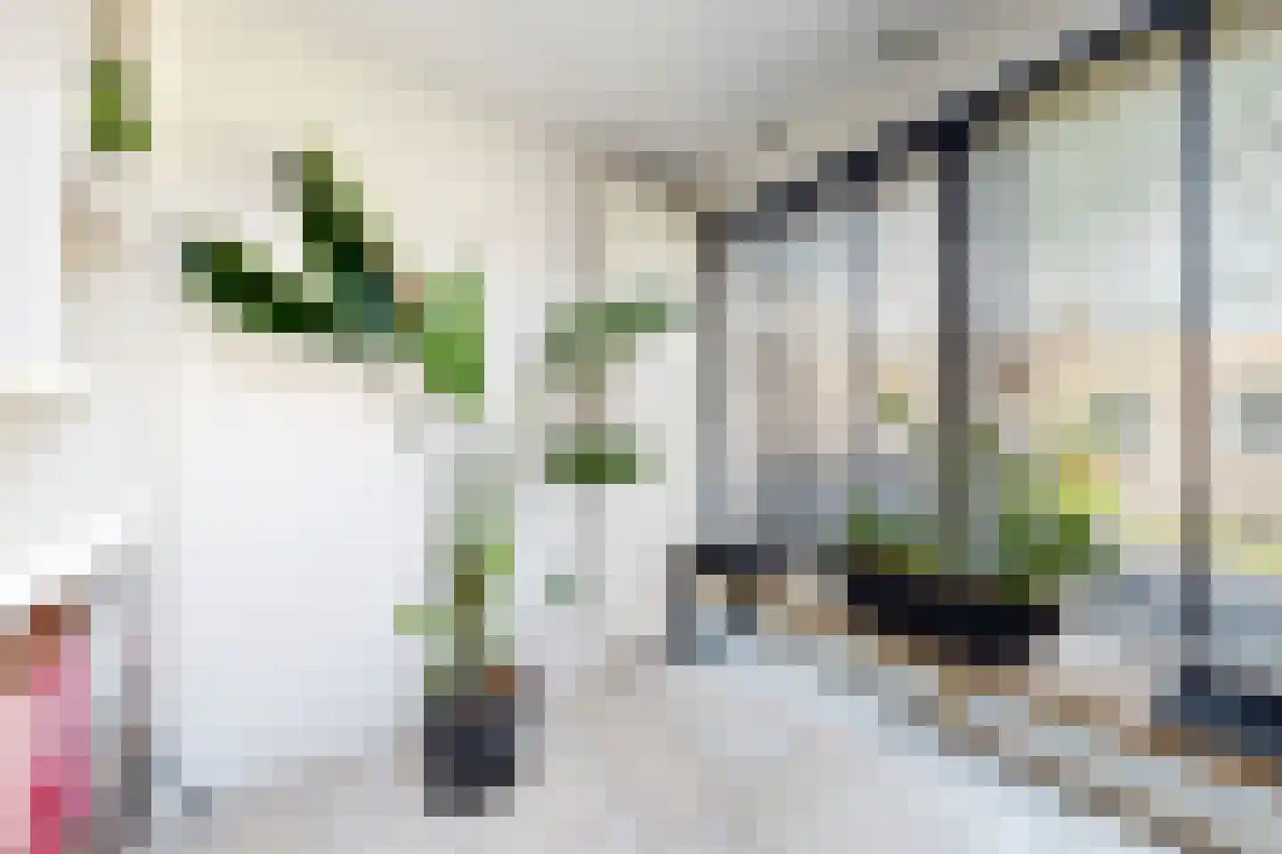 Leeuwerikstraat 27 Fijnaart thumbnail 25