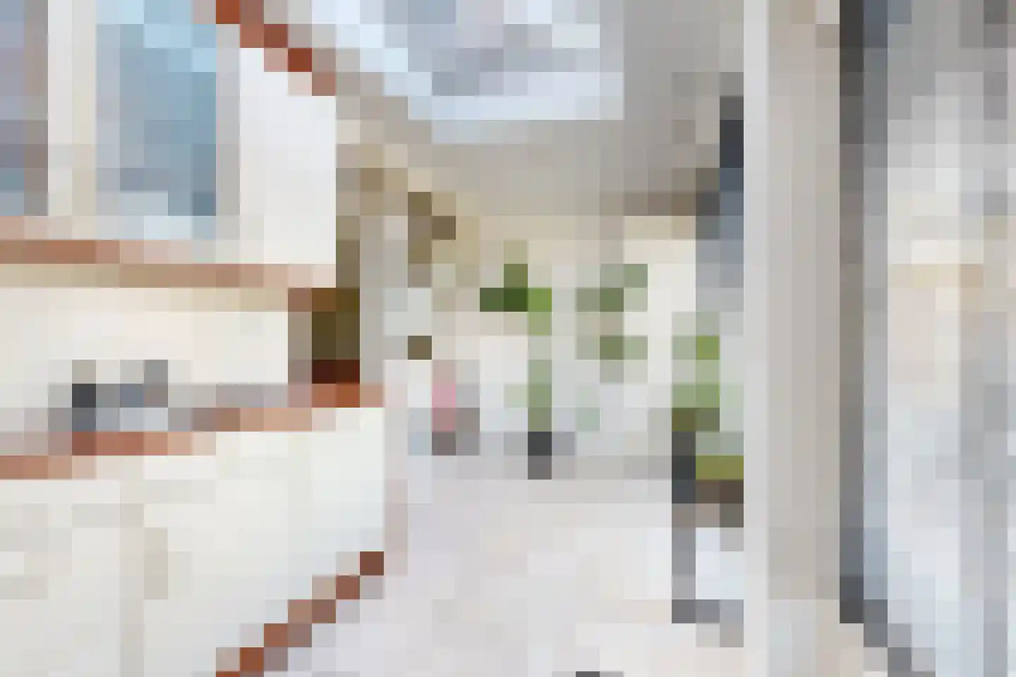 Leeuwerikstraat 27 Fijnaart thumbnail 30