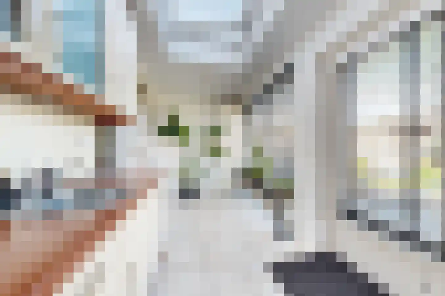 Leeuwerikstraat 27 Fijnaart thumbnail 31