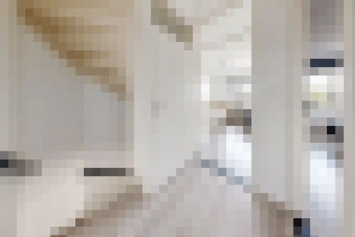 Leeuwerikstraat 27 Fijnaart thumbnail 33