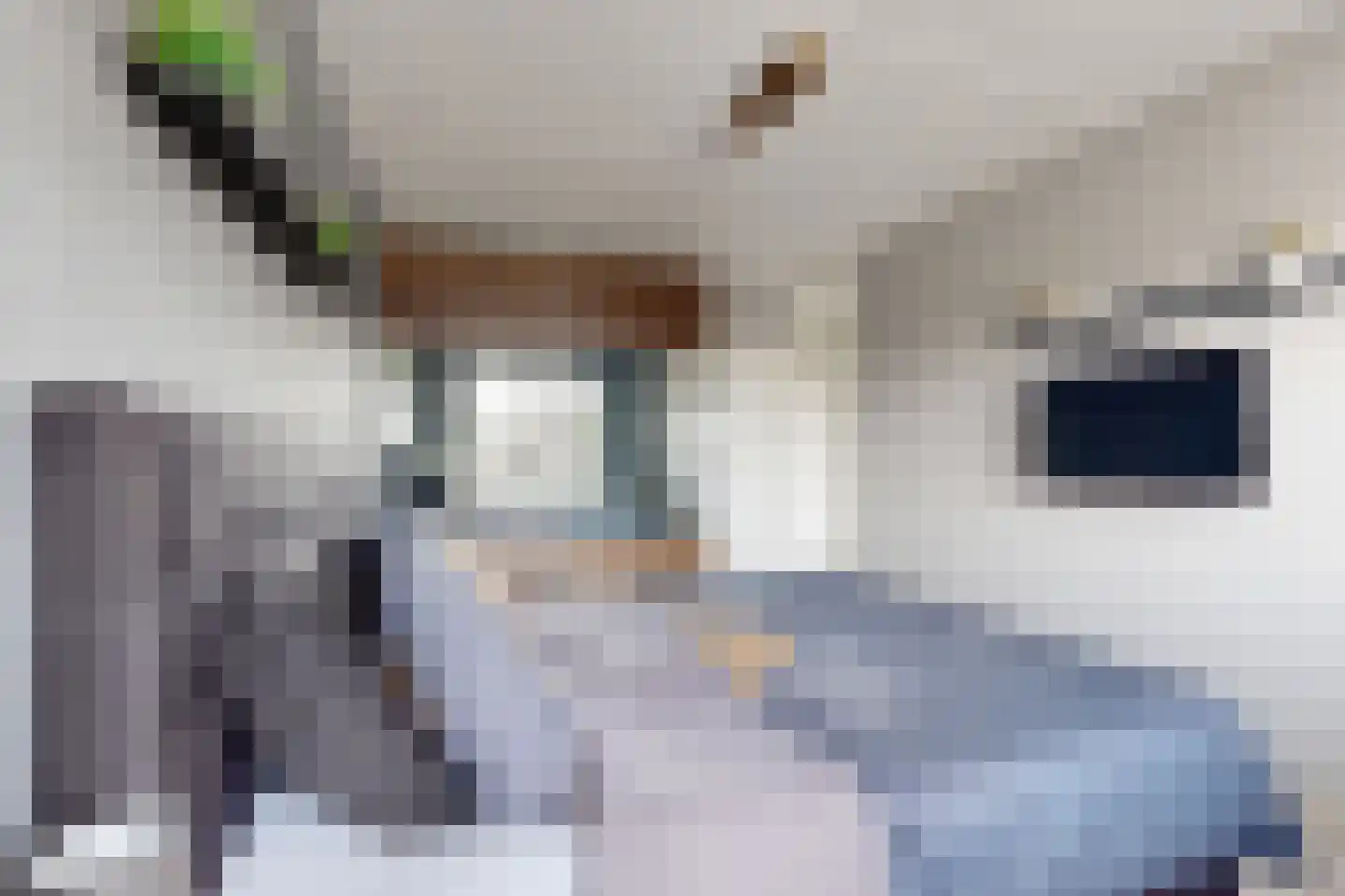 Leeuwerikstraat 27 Fijnaart thumbnail 34