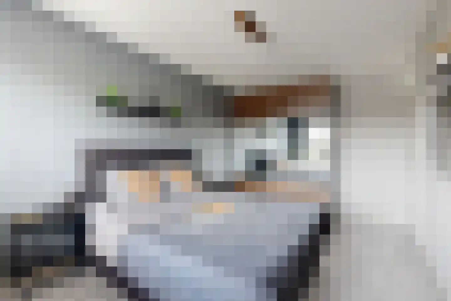 Leeuwerikstraat 27 Fijnaart thumbnail 35
