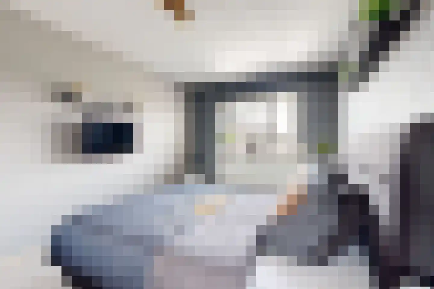Leeuwerikstraat 27 Fijnaart thumbnail 37