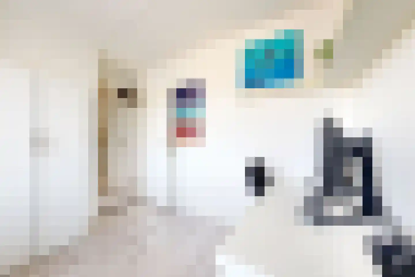Leeuwerikstraat 27 Fijnaart thumbnail 39