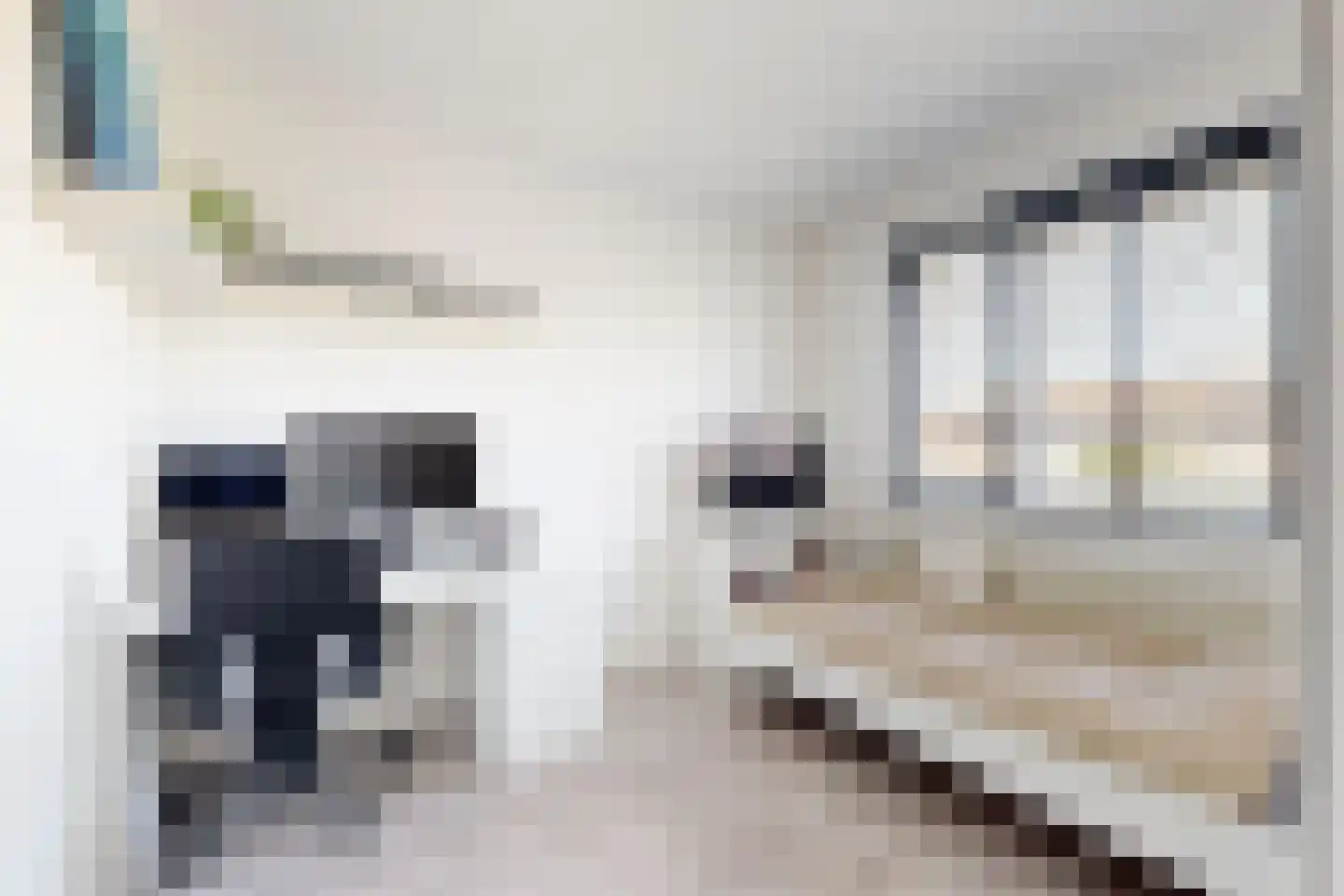 Leeuwerikstraat 27 Fijnaart thumbnail 40