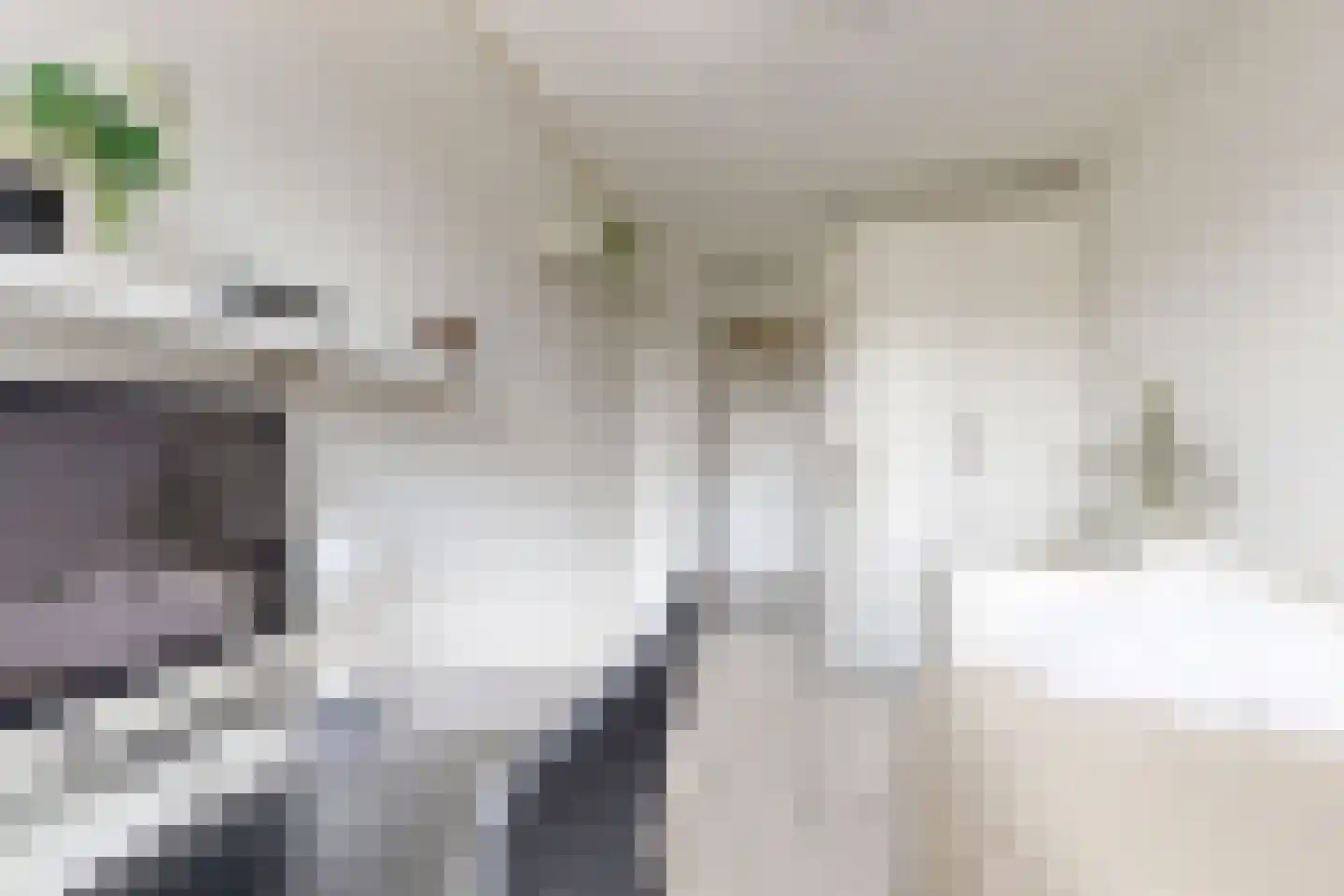 Leeuwerikstraat 27 Fijnaart thumbnail 43