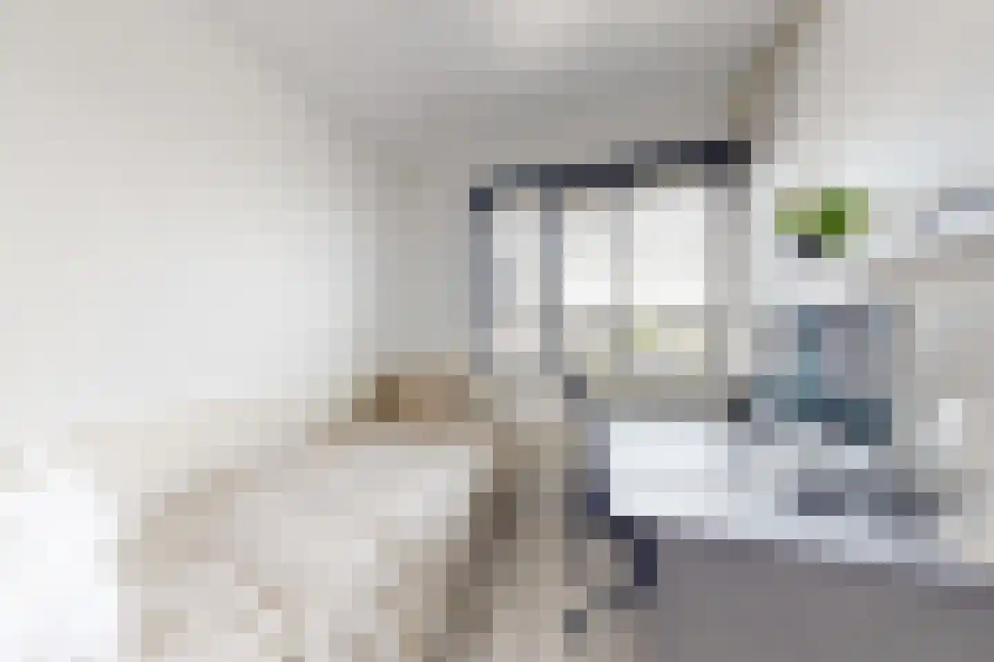 Leeuwerikstraat 27 Fijnaart thumbnail 44