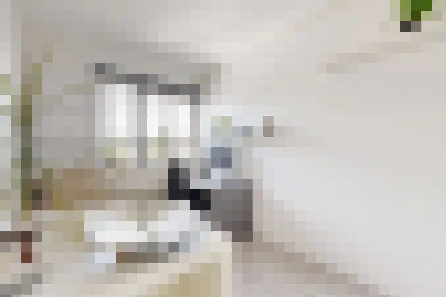Leeuwerikstraat 27 Fijnaart thumbnail 45