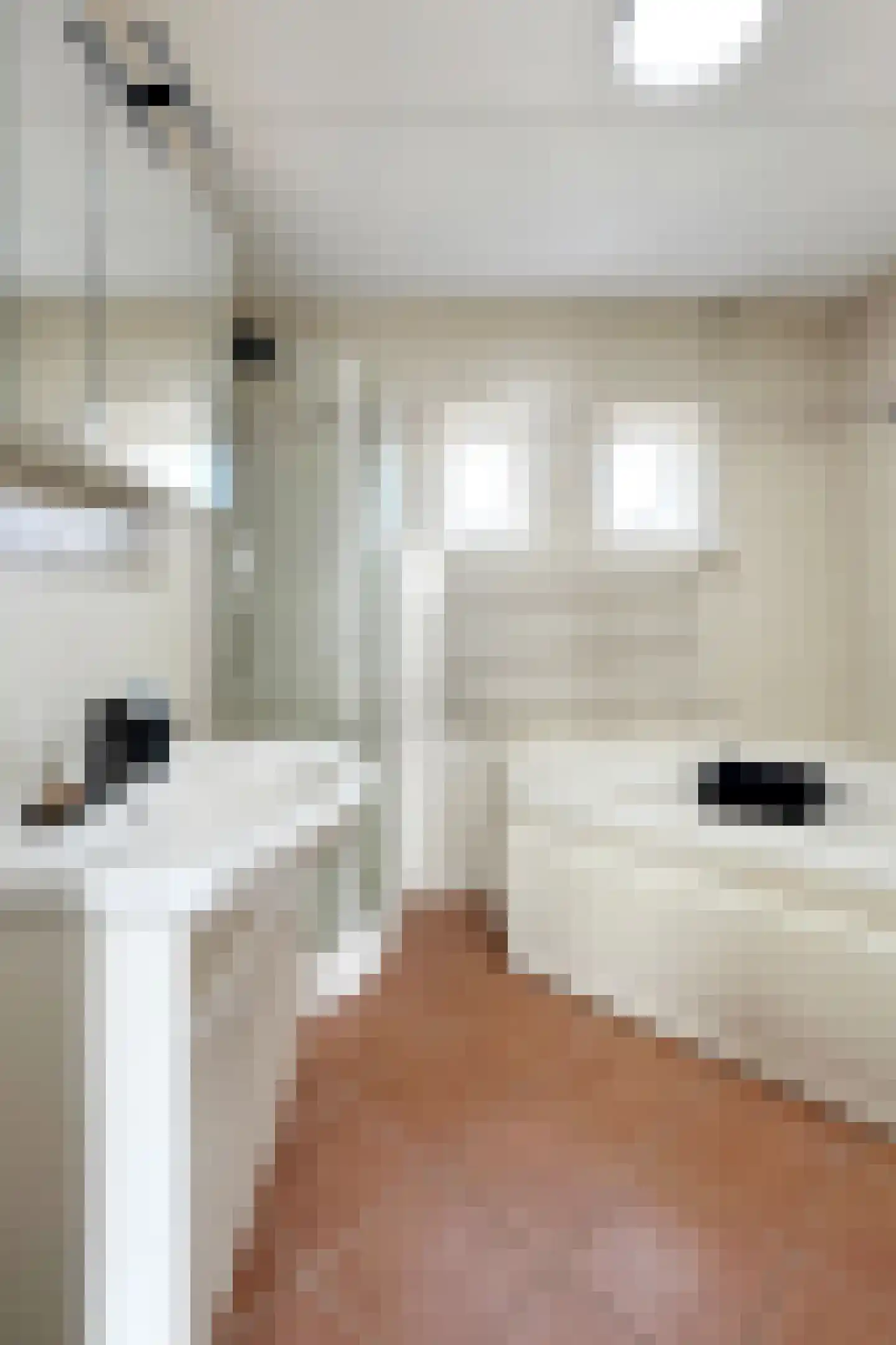 Leeuwerikstraat 27 Fijnaart thumbnail 49