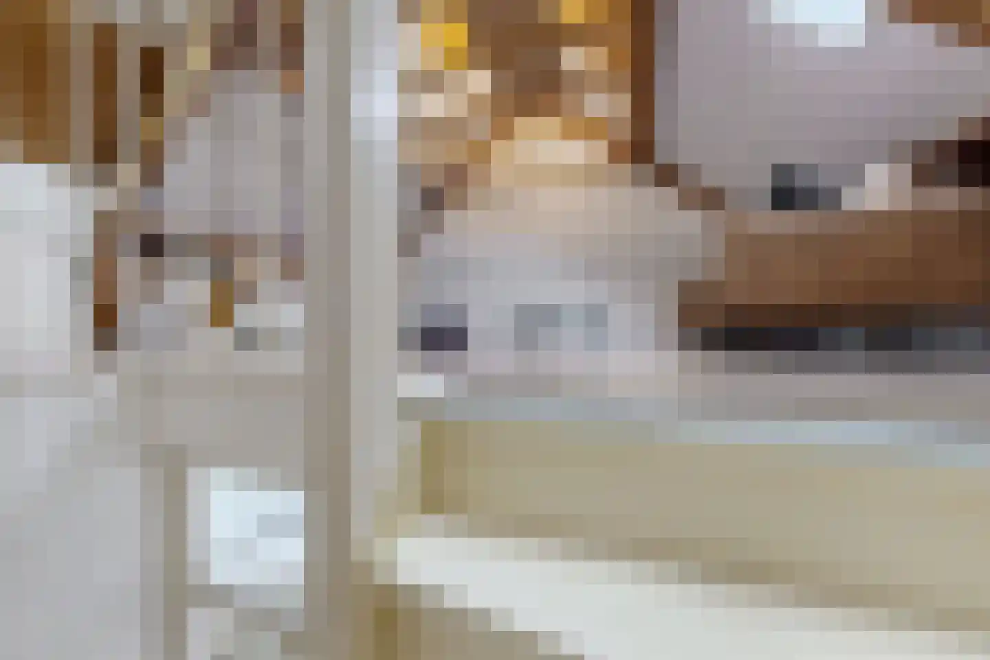 Leeuwerikstraat 27 Fijnaart thumbnail 52