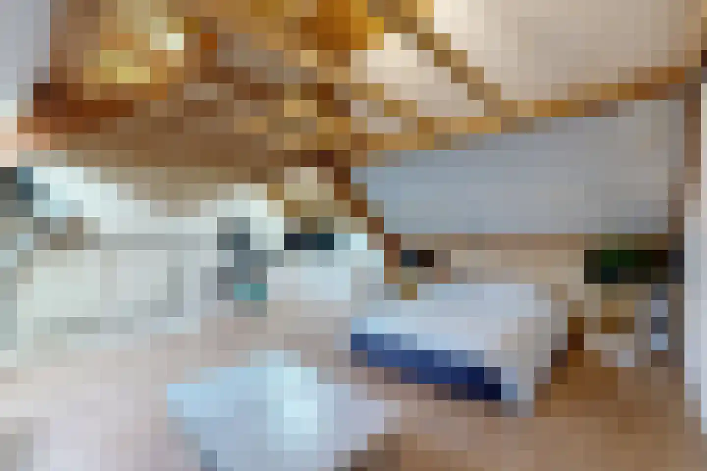 Leeuwerikstraat 27 Fijnaart thumbnail 53