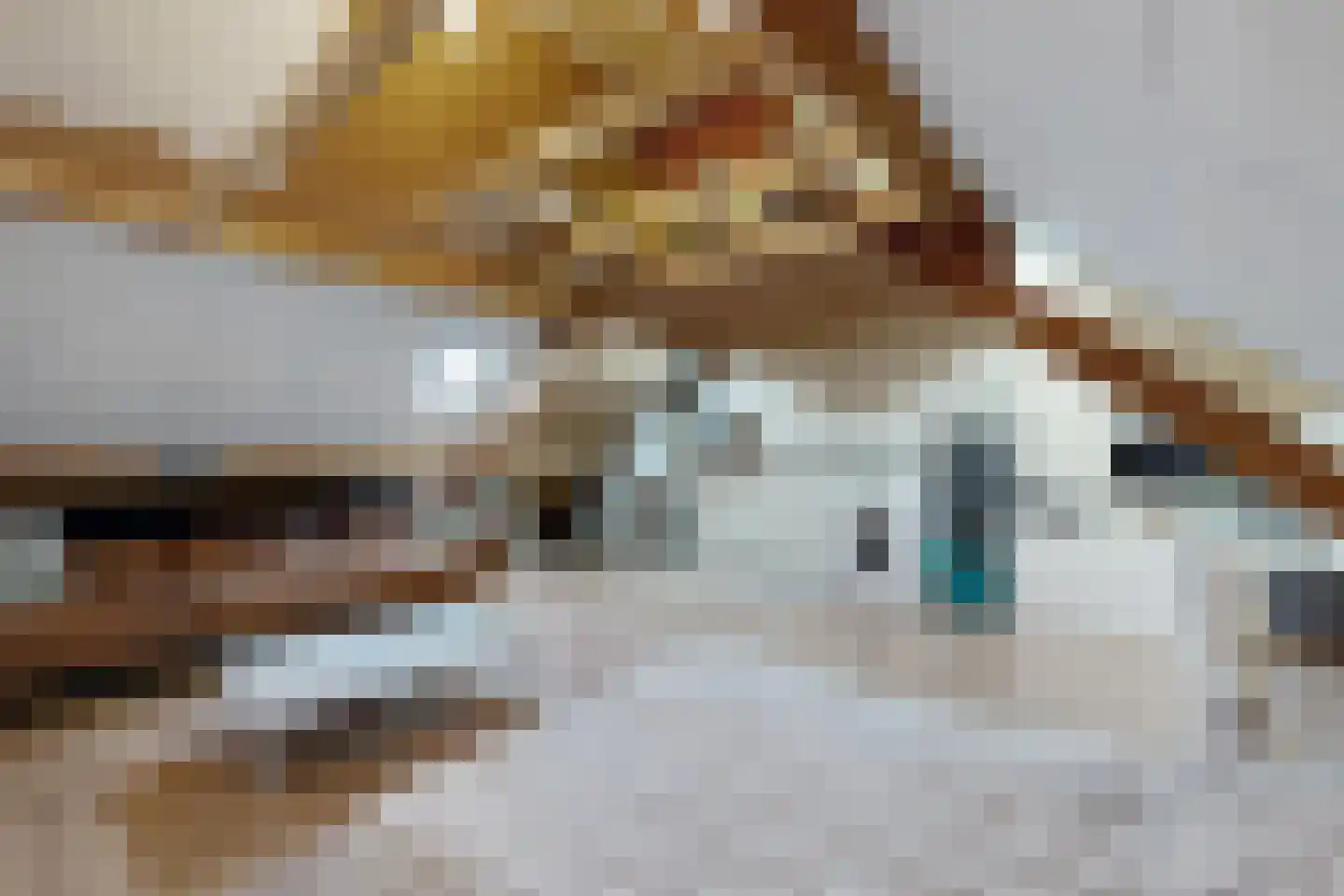 Leeuwerikstraat 27 Fijnaart thumbnail 54