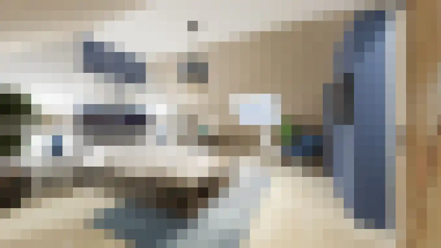 Leeuwerikstraat 27 Fijnaart thumbnail 57
