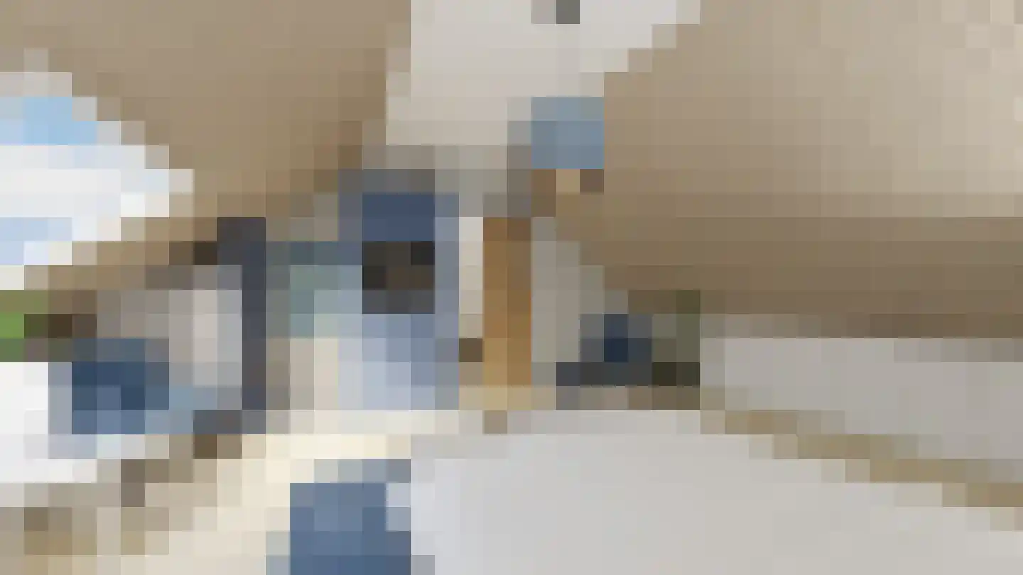 Leeuwerikstraat 27 Fijnaart thumbnail 58