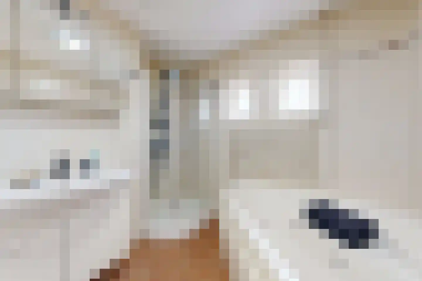 Leeuwerikstraat 27 Fijnaart thumbnail 6