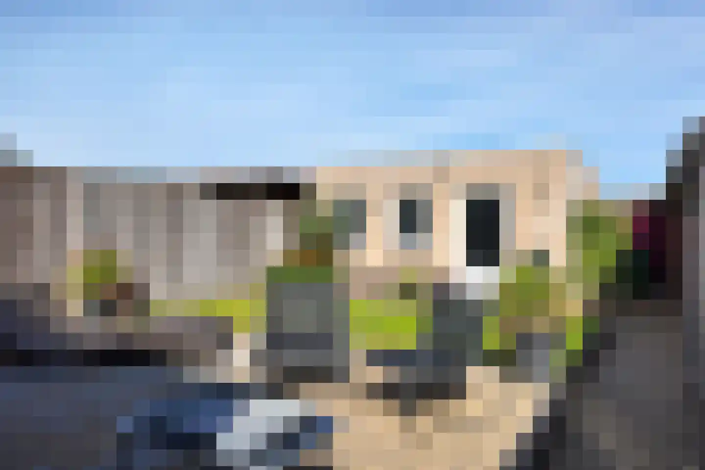 Leeuwerikstraat 27 Fijnaart thumbnail 62