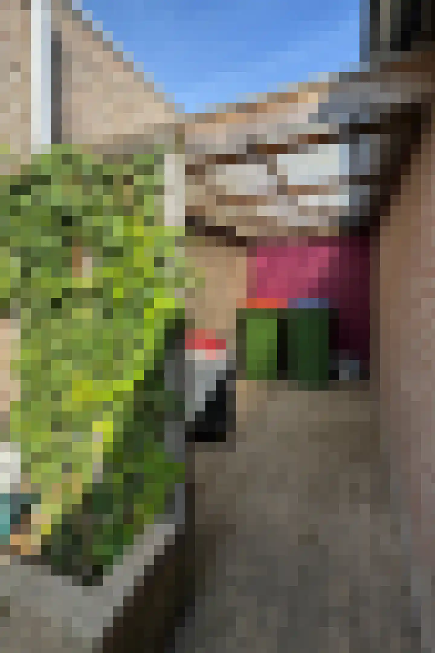 Leeuwerikstraat 27 Fijnaart thumbnail 66