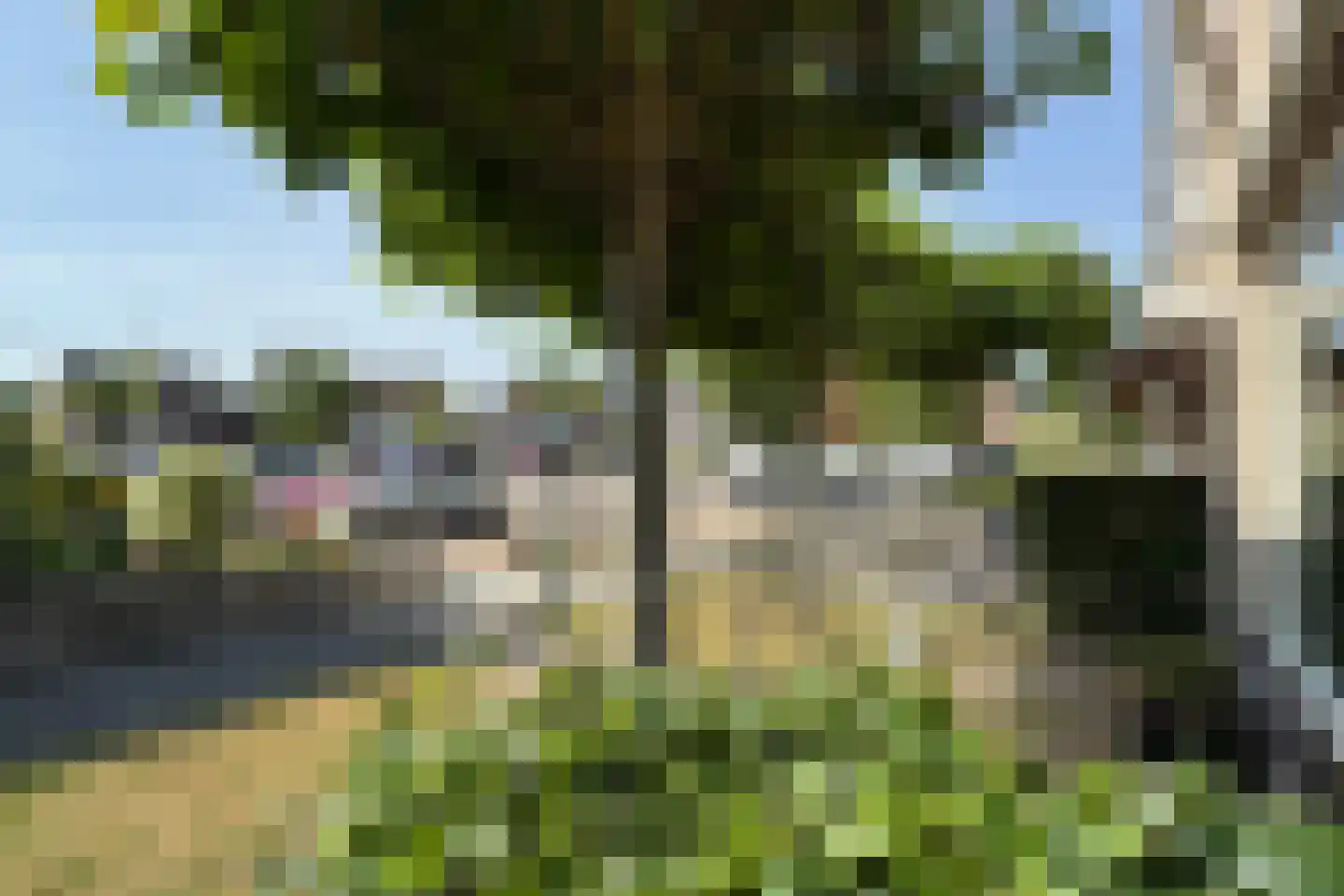 Leeuwerikstraat 27 Fijnaart thumbnail 70