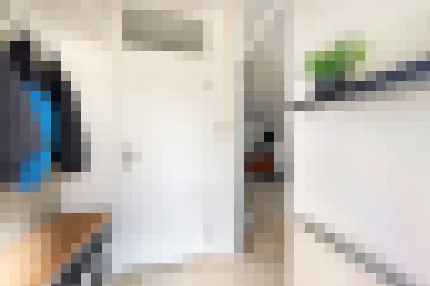 Leeuwerikstraat 27 Fijnaart thumbnail 9
